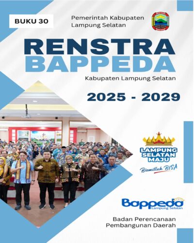 RENSTRA BAPPEDA 2025-2029